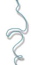 levo7.jpg (2073 bytes)